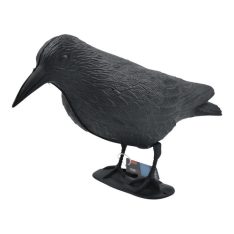 עורב להרחקת יונים